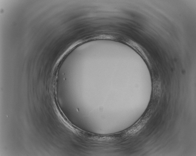 X0000083620851200703121626