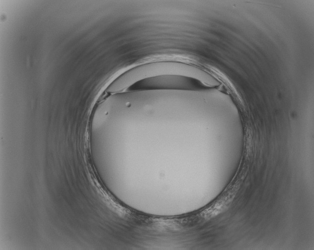 X0000083620852200703121626