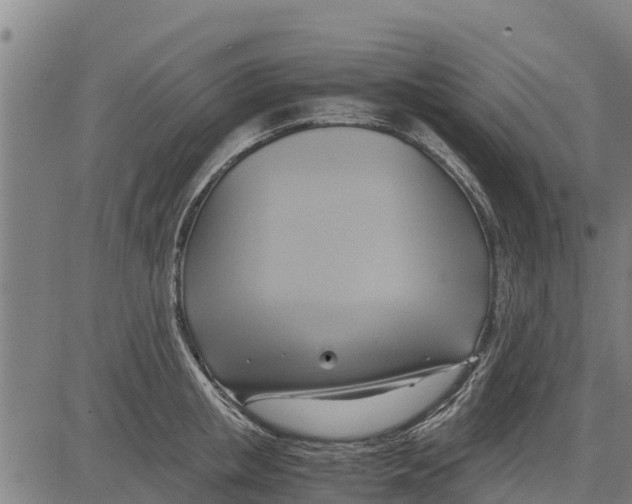 X0000083620853200703121626