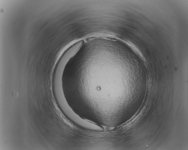 X0000083620854200703121626