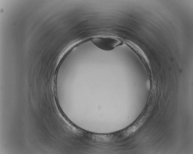 X0000083620855200703121626