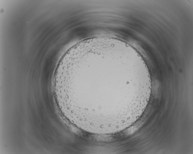 X0000083620856200703121626