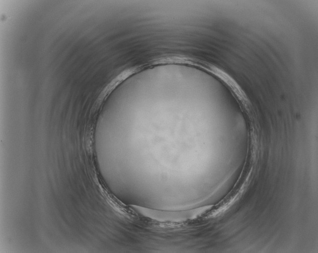 X0000083620857200703121626