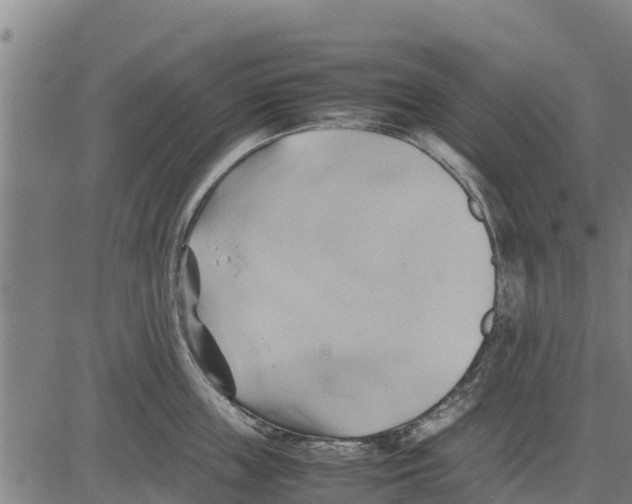 X0000083620859200703121626