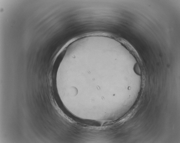 X0000083620860200703121626