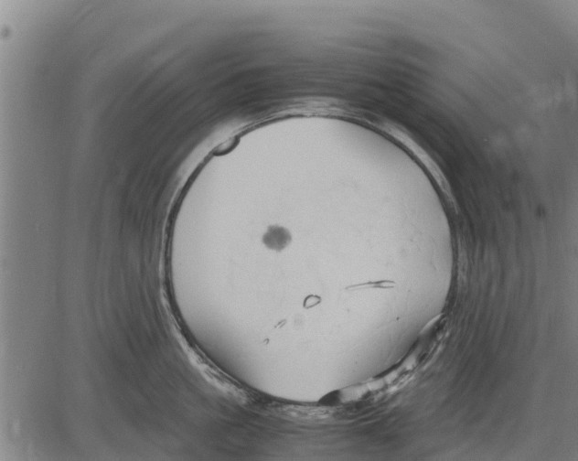 X0000083620861200703121626