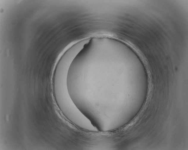 X0000083620864200703121627