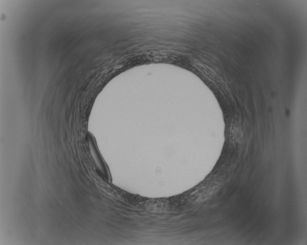 X0000083620865200703121626