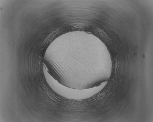 X0000083620868200703121626