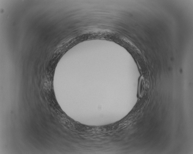 X0000083620869200703121626