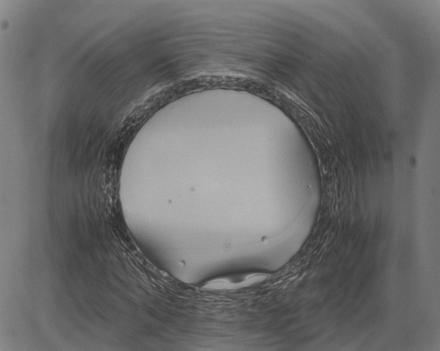 X0000083620870200703121626