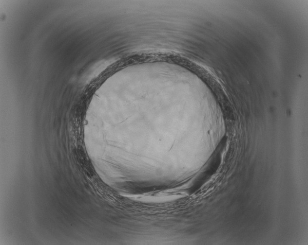 X0000083620871200703121626