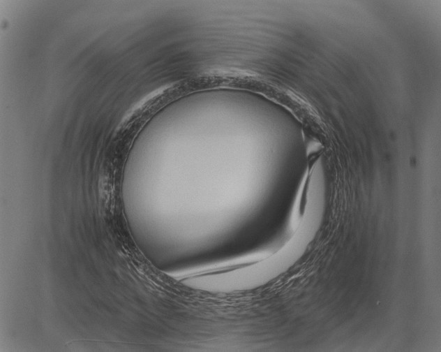 X0000083620872200703121626