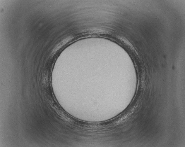 X0000083620873200703121626