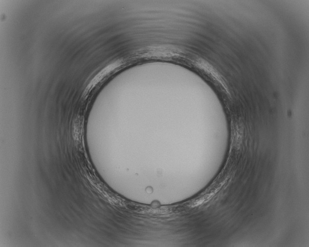 X0000083620874200703121626