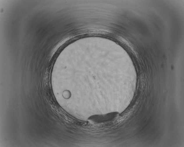 X0000083620875200703121626