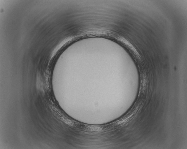 X0000083620878200703121626