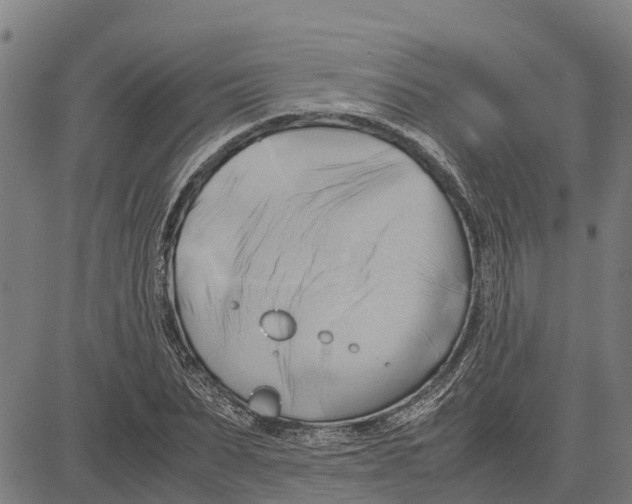 X0000083620879200703121625