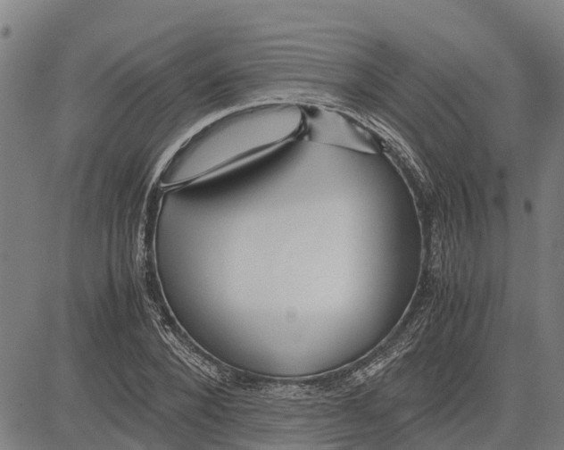 X0000083620880200703121625