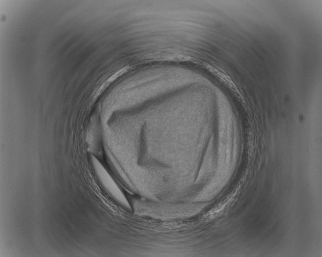 X0000083620881200703121625