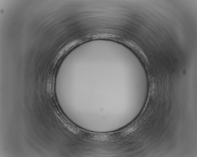 X0000083620882200703121625