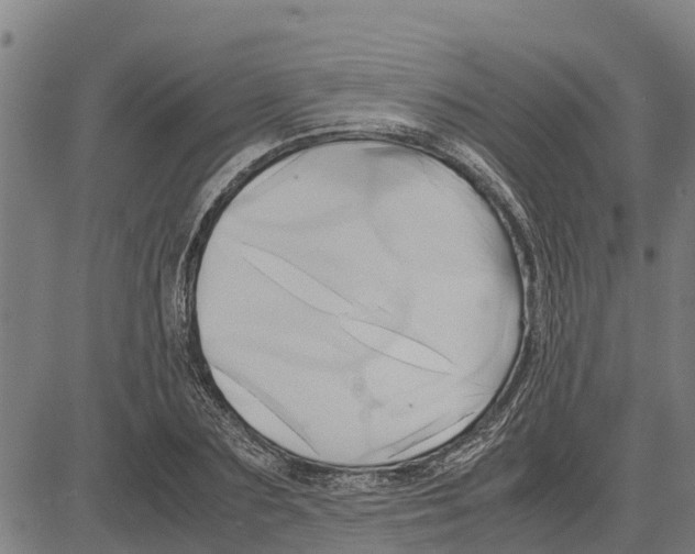 X0000083620883200703121625