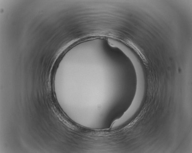 X0000083620884200703121625