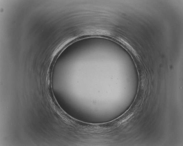 X0000083620885200703121625