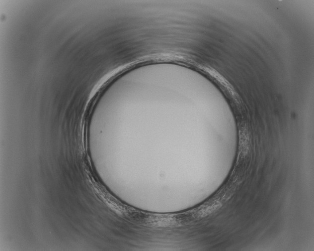 X0000083620886200703121625