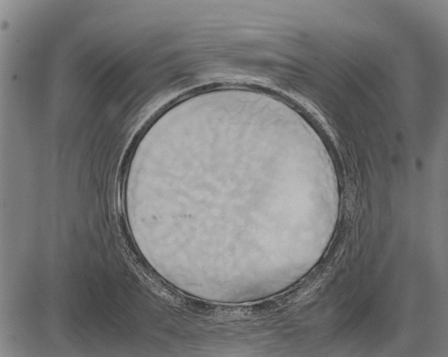 X0000083620887200703121625