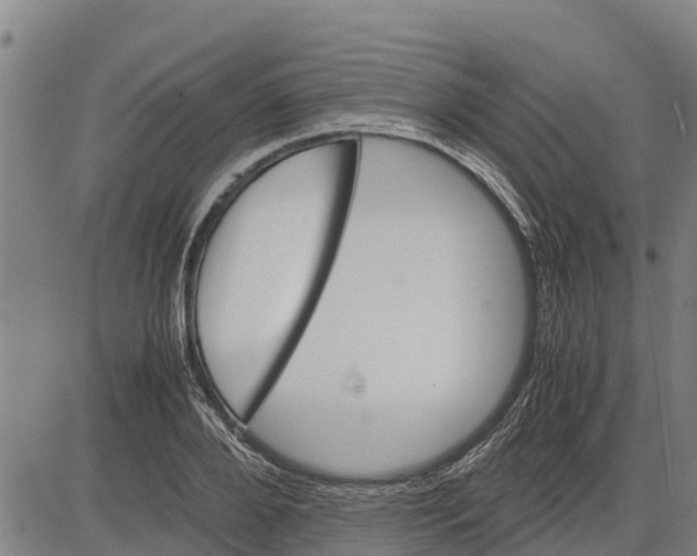 X0000083620888200703121625