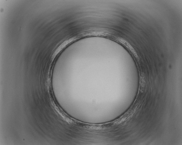 X0000083620890200703121625