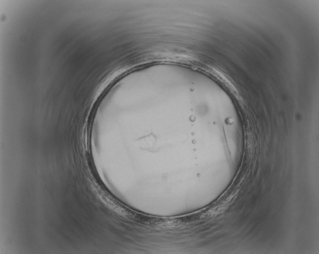 X0000083620891200703121625