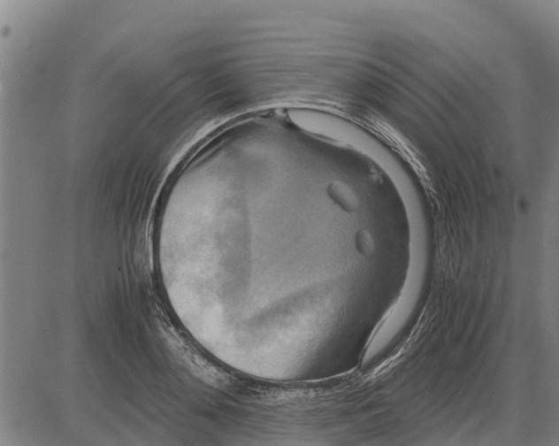 X0000083620892200703121625