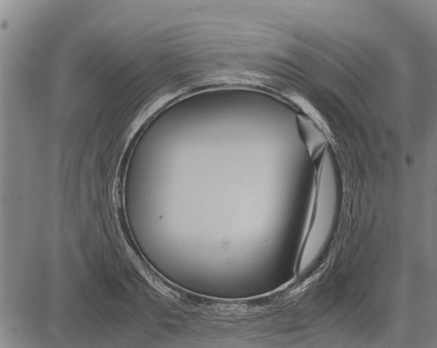 X0000083620893200703121625