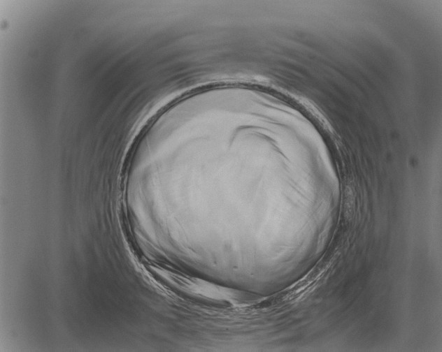 X0000083620895200703121625