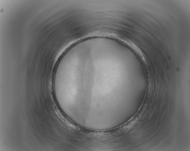 X0000083620896200703121625