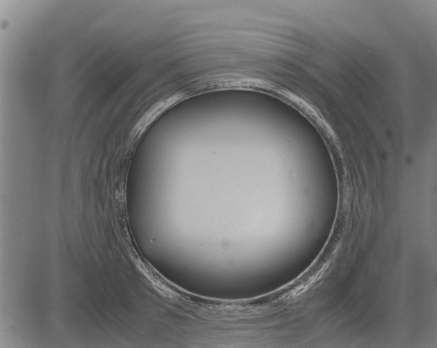 X0000083620897200703121625