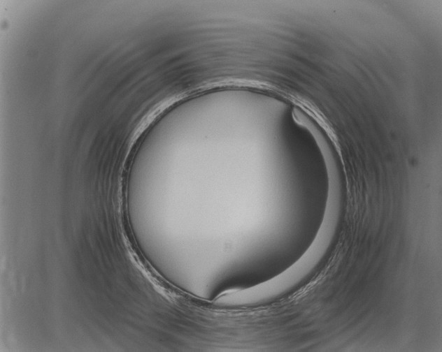 X0000083620898200703121625