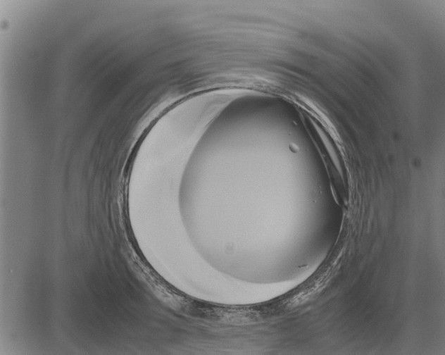 X0000083620899200703121625