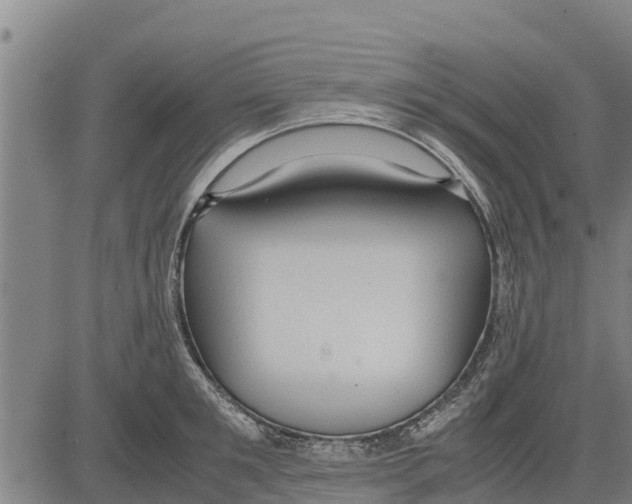 X0000083620901200703121625