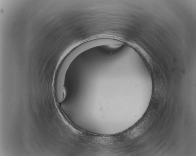 X0000083620902200703121625