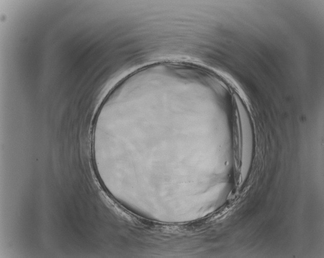 X0000083620903200703121625