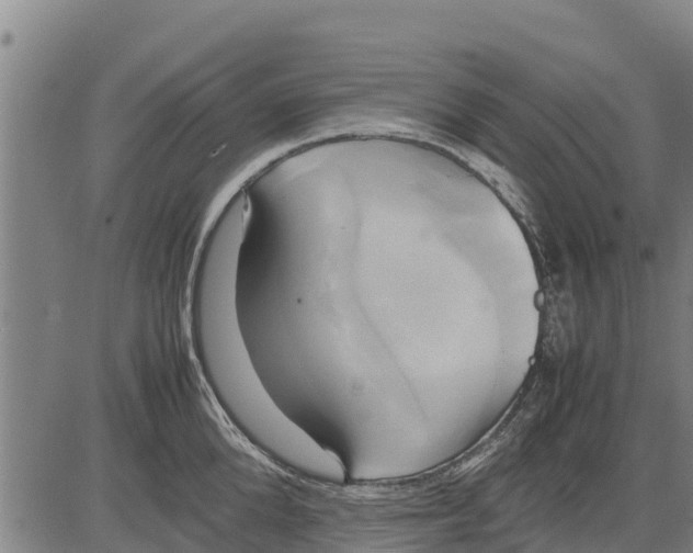 X0000083620904200703121625