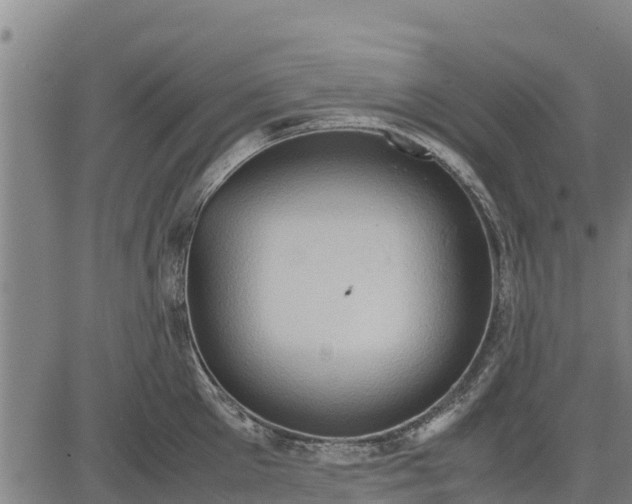 X0000083620905200703121625