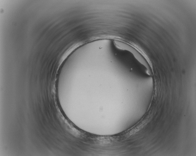 X0000083620906200703121625