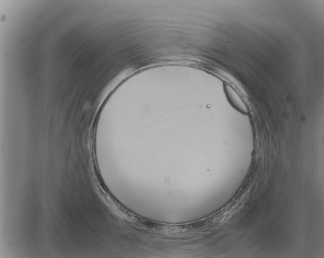 X0000083620907200703121625