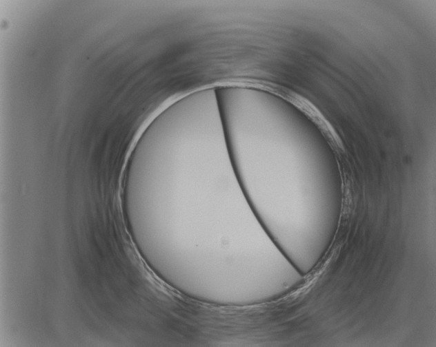 X0000083620908200703121625