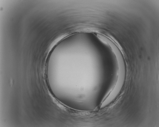 X0000083620909200703121625