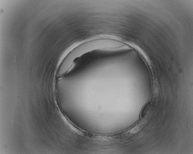 X0000083620910200703121625